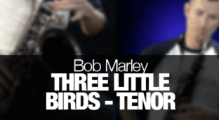 Learn Three Little Birds by Bob Marley on alto sax