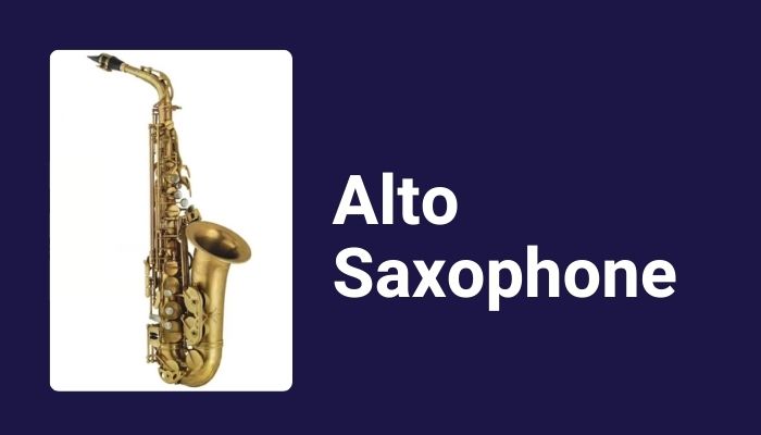 the types of sax: alto saxophone. Sax School Online