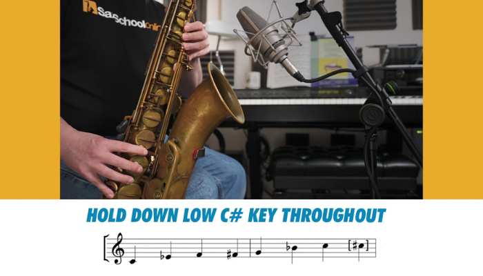 Hold down low C sharp while playing a C blues scale. Sax School Online