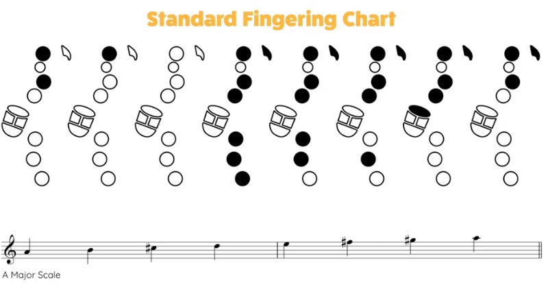 A major scale standard fingering. Your sax fingering chart is lying to you. Sax School Online